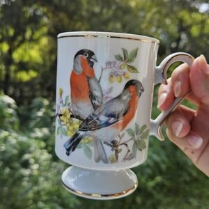 Vintage Bird Mug Bullfinch by Royal Crown Footed Coffee Cup